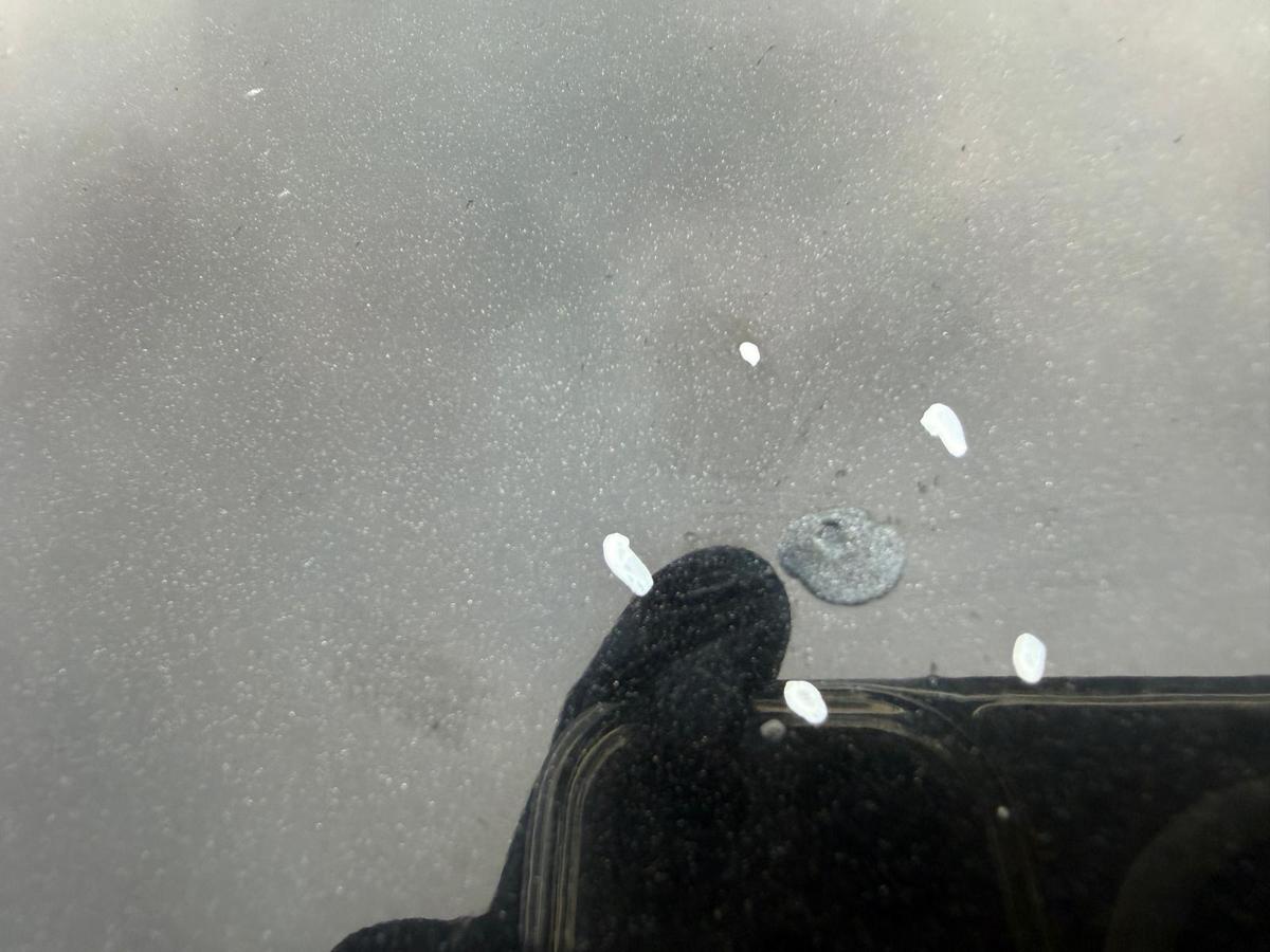 Ford Galaxy 2 WA6 original Motorhaube Panther Schwarz Metallic Vorfacelift BJ09